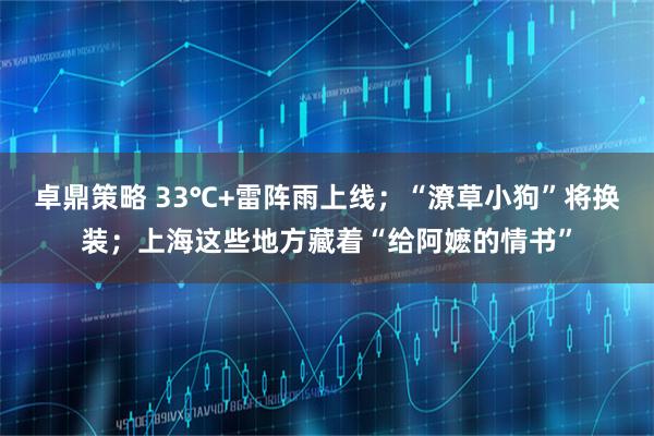 卓鼎策略 33℃+雷阵雨上线；“潦草小狗”将换装；上海这些地方藏着“给阿嬷的情书”